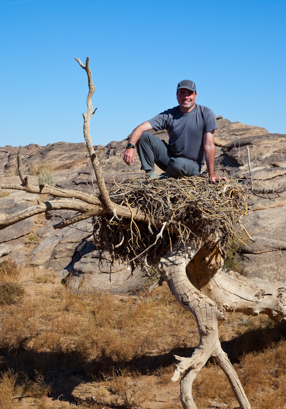 Me In A Cinareous Vulture Nest